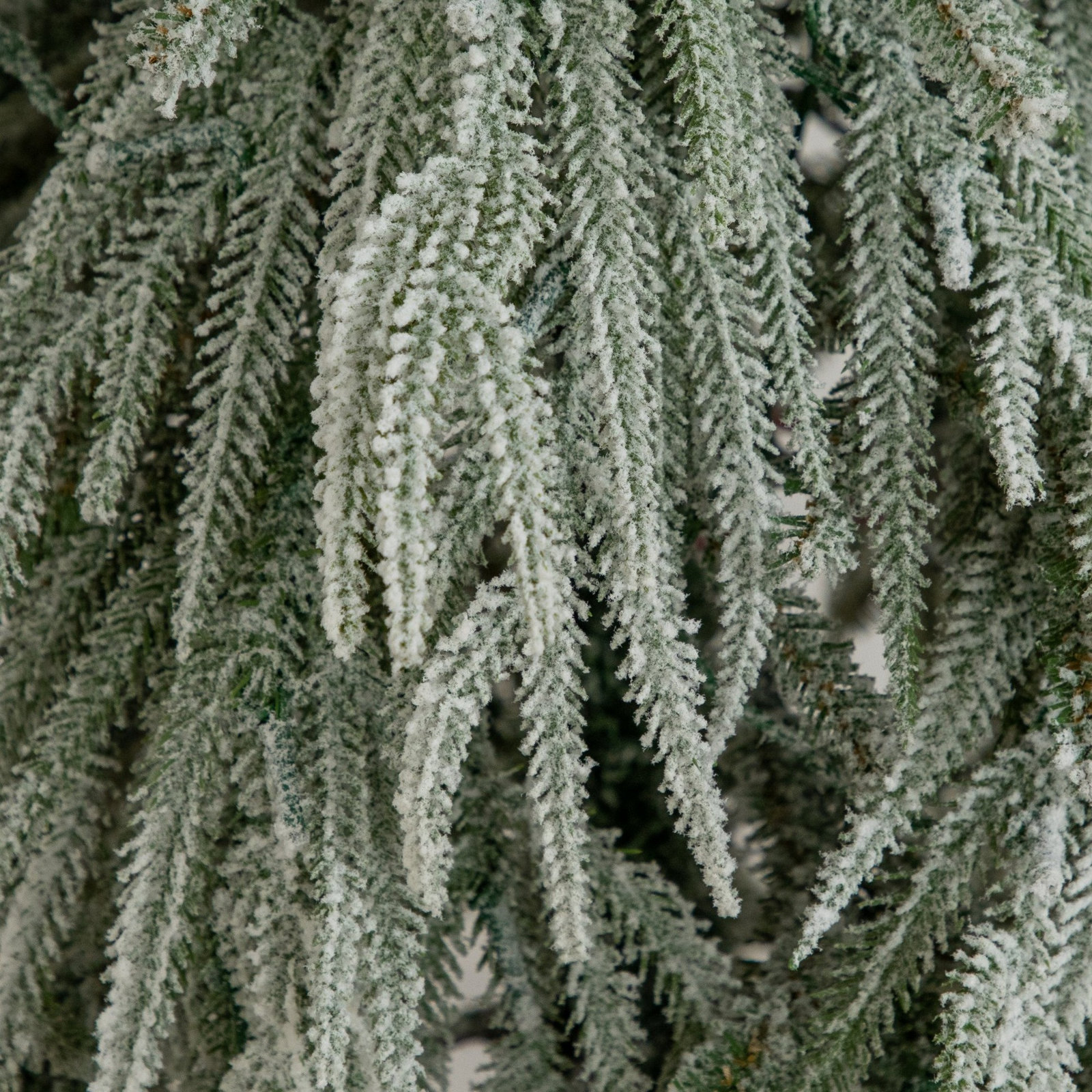 Flocked Pre-Lit Pine Christmas Tree, 6ft