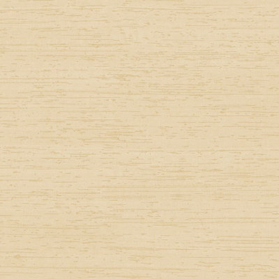 Palazzo Plain Silk Texture Wallpaper Roll