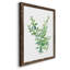 Eucalyptus III, reproduction d'art sur toile-88378998-88378999