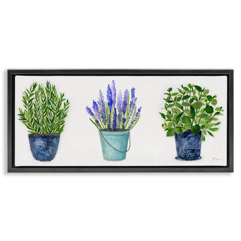 Plantes et herbes variées en pot, Cadre flottant noir de jais, H 11 po x l 25 po