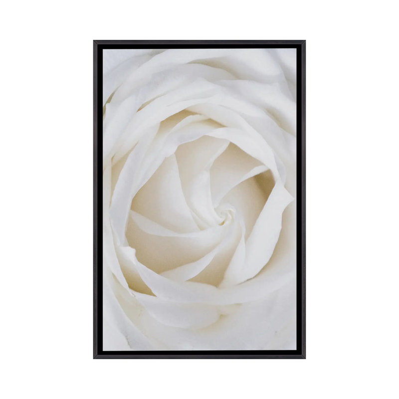 Roses blanches-reproduction de photo, Pas de tapis, H 26 po x l 18 po x 1,5 po, Toile avec cadre noir patiné