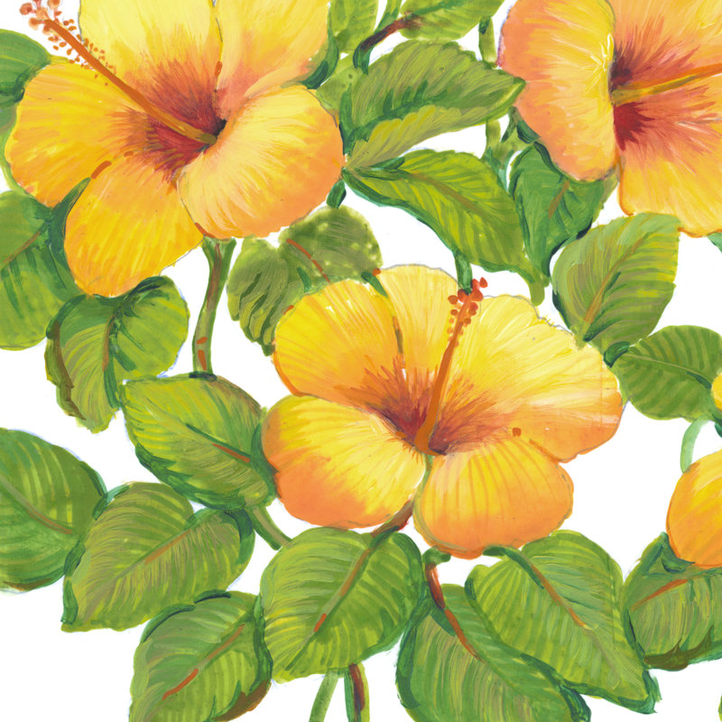 Aquarelle d'hibiscus III, H 12 po x l 12 po x P 1,25 po