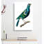 Teal Blue Bird by George Shaw - Wrapped Canvas-55330424