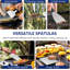 Ensemble d'outils de gril, ensemble d'accessoires de barbecue en acier inoxydable robuste avec dôme de fusion, presse à hamburger en fonte, 6 spatules polyvalentes, grattoir, anneaux à œufs, bouteilles à presser, sac de transport, pour barbecue Teppanyaki