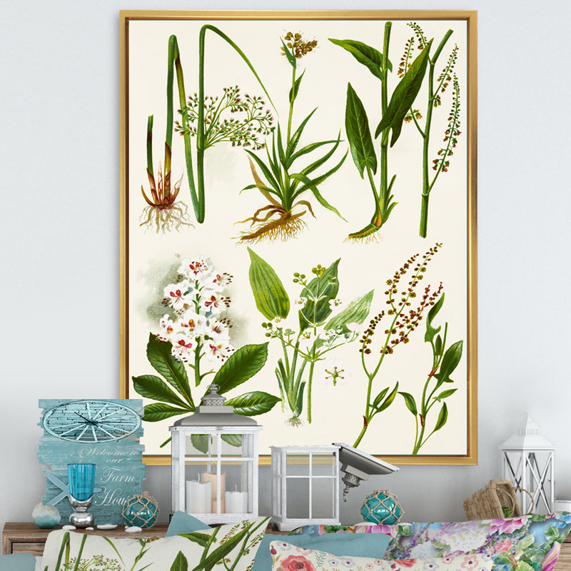 Ensemble de plantes Herbal - Décoration murale traditionnelle sur toile, H 40 po x l 30 po x P 1,5 po, Cadre flottant doré