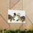 Funny Tortoise Silly Tortoise Couples Wall Art-210735646