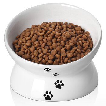 Dog & Pet Bowls & Feeders You'll Love 