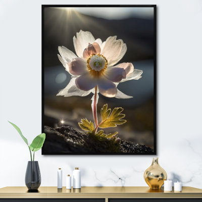«Delicate Blooming Anemone In Morning Sunshine I», reproduction sur toile