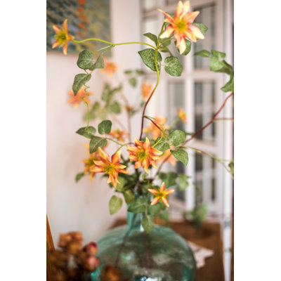 Tige de clematis allemande