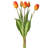 Soft Touch Tulip Stem-518281481