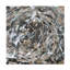 «Sporadic Energy II» sur-1437244414