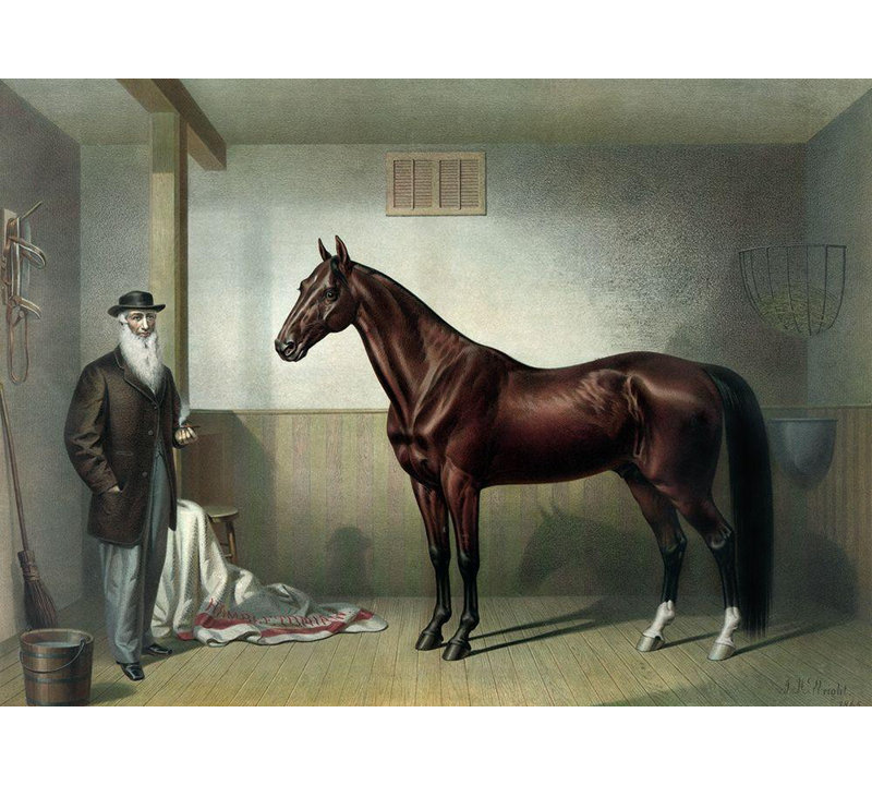 Art sur toile tendue Charlton Home® Currier and Ives Gallery: Rysdyks Hambletonian
