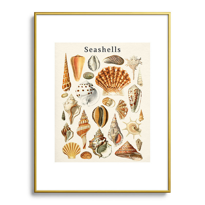«Gal Design Seashells», reproduction d'art encadrée en métal, Or, H 24 po x l 18 po
