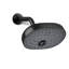 Statement™ Oval Multifunction Showerhead with Katalyst Air-Induction Technology-1971105211