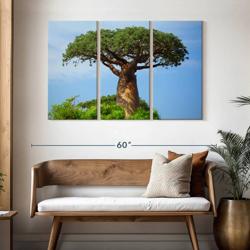 Baobab africain, H 32 po x l 50 po