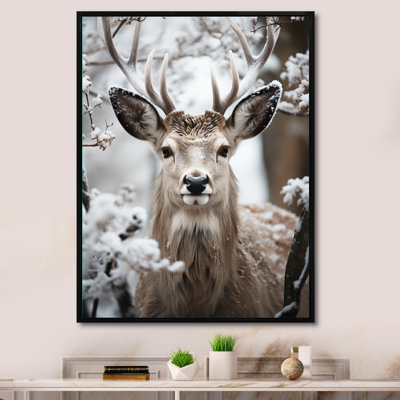 «Baruc Animal Winter Deer», reproduction sur toile encadrée