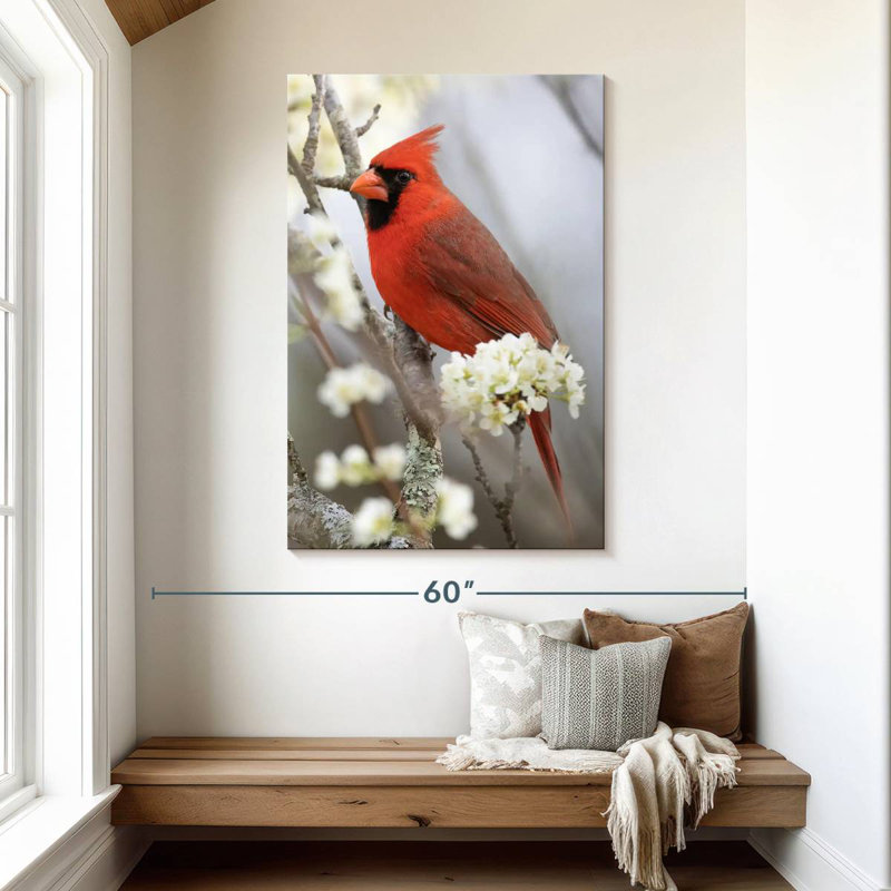 Cardinal Brampt Northern sur une branche fleurie, H 48 po x l 32 po