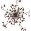 15 - Light Chandelier