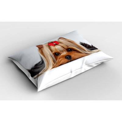 Polyester Sham Set