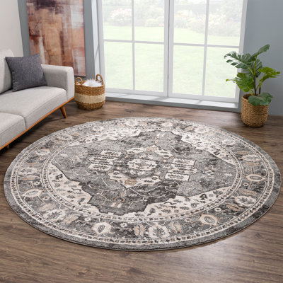Oriental Indoor Rug