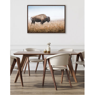American Bison Buffalo in Prairie Grass by Warren Metcalf Framed Canvas Wall Art Print