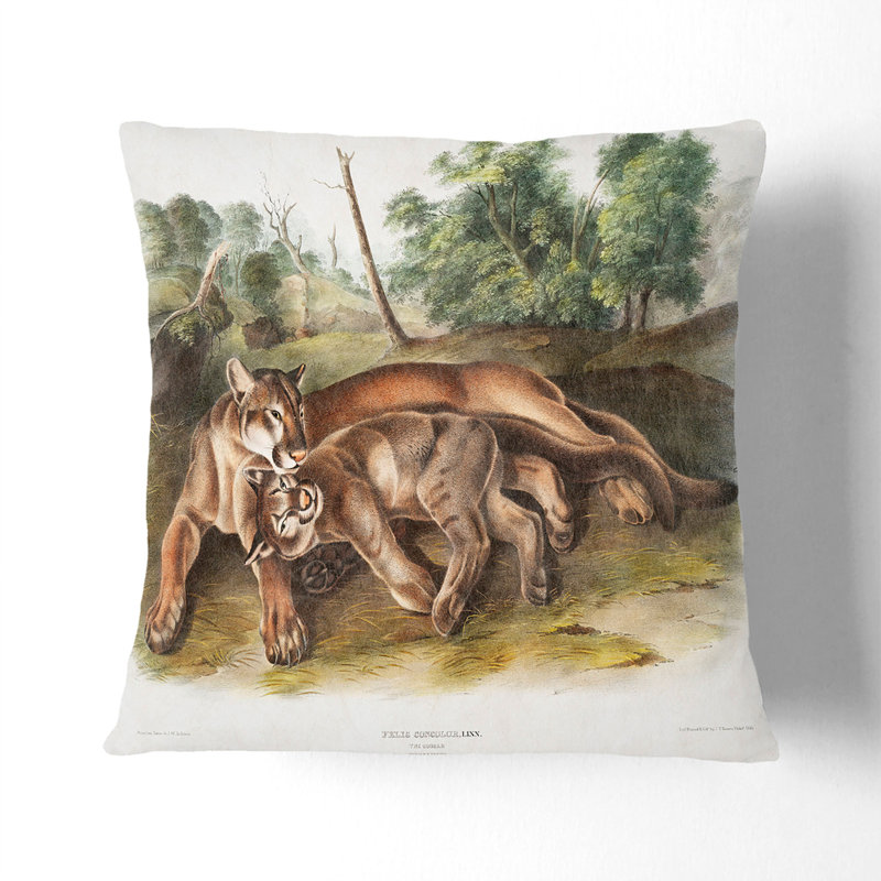 Square Throw Cushion, White, 40cm H x 40cm W x 15cm D