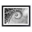 Spiral Staircase - Picture Frame Painting Print-56705267-56705270