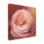 «Rose» par Lisa Audit - impression sur toile tendue-33408425