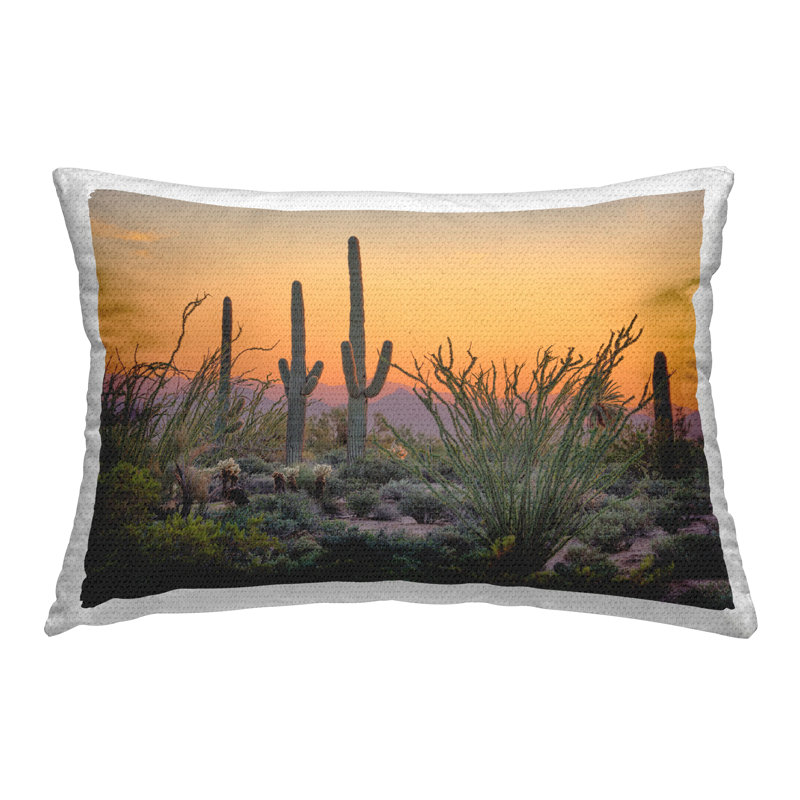 Coussin d'extérieur Sunset Desertscape Cacti par Marty Hulsebos