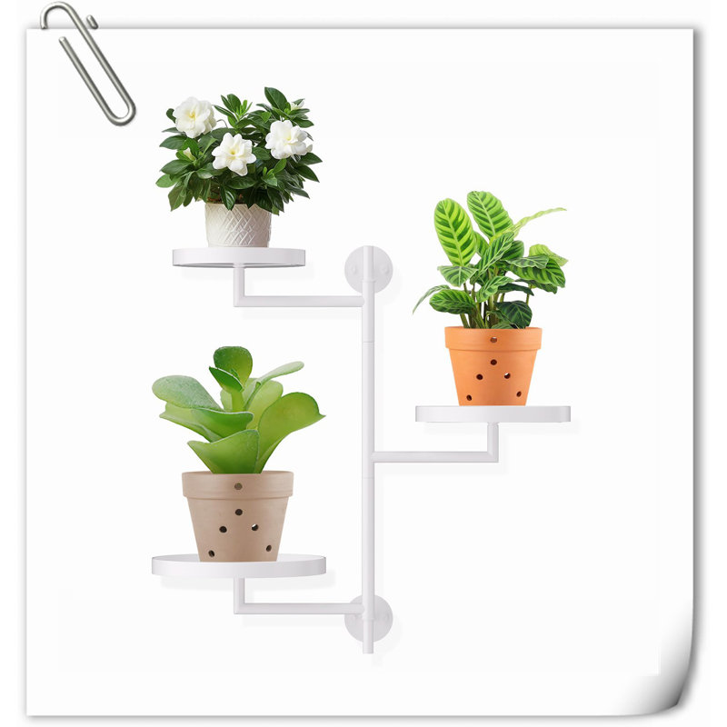 Tablettes pivotantes pour plantes d'intérieur