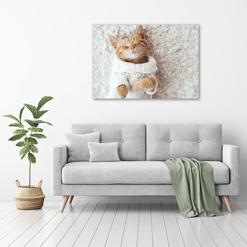 Kitten In A Sweater - No Frame Print on Glass