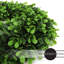 Couronne de verdure de porte d'entrée-63658157-128837937-136073439