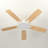 Karlena 52'' Ceiling Fan With Led Lights And Remote Control-1728237030