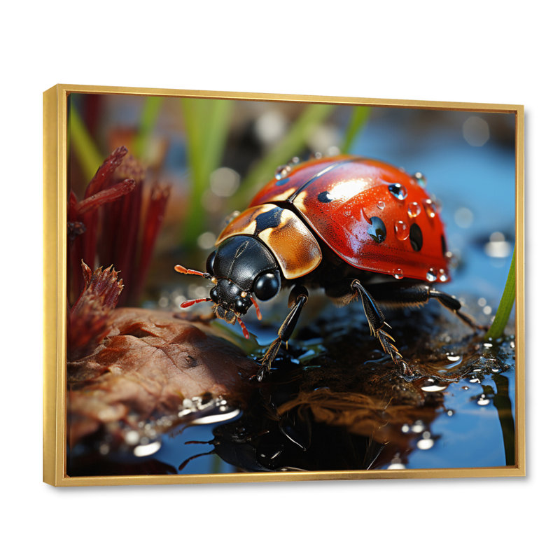 Portrait de coccinelle rouge III sur toile, Cadre flottant doré, H 12 po x l 20 po x P 1 po