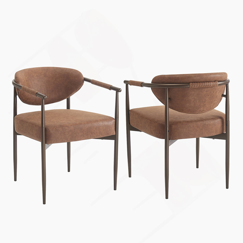Ensemble de 2 chaises de salle à manger modernes, chaises de salle à manger rembourrées avec structure en fer, fauteuils d'appoint pour la cuisine et le salon