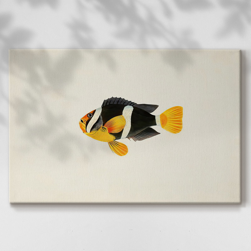 Collection de poissons tropicaux II - Cavas enveloppés de galerie, 8 x 12