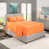 Apricot Buff Orange