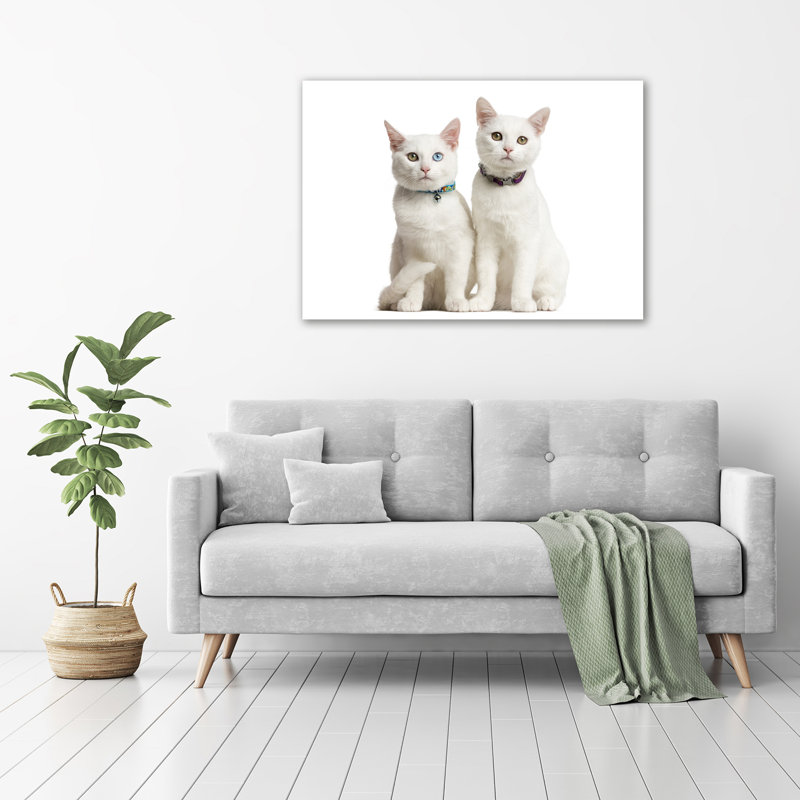 White Cats - Wrapped Canvas Print