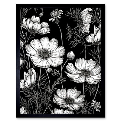 Kionte Detailed Black And White Cosmos Flower Plants - Single Picture Frame Print