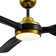 Fremont Ceiling Fan with LED Lights