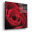 «The Red Rose I» par Lori Deiter, art mural en verre acrylique-669207798