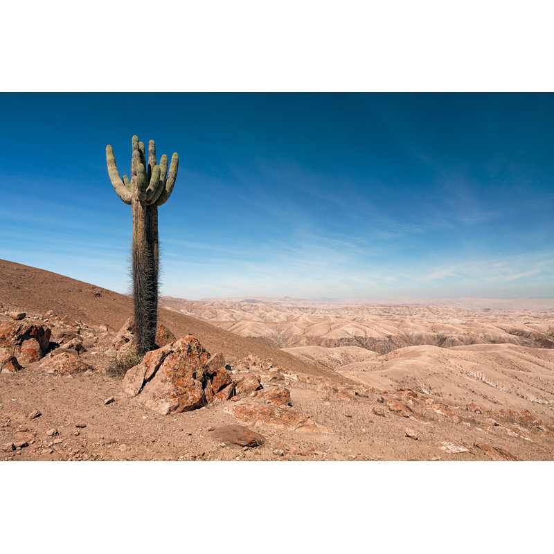 Reserve of Pampa Galeras Near Nazca, Peru 1 Piece Wrapped Canvas Wall Art, 20cm H x 30cm W x 3.8cm D