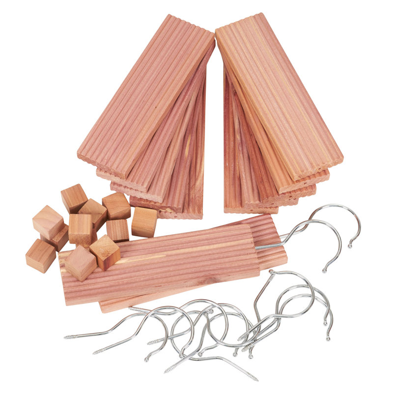 Anshul Woodsy Diffuser