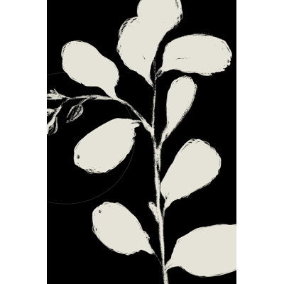 " Botanical Silhoette II " by Nicholas Holman