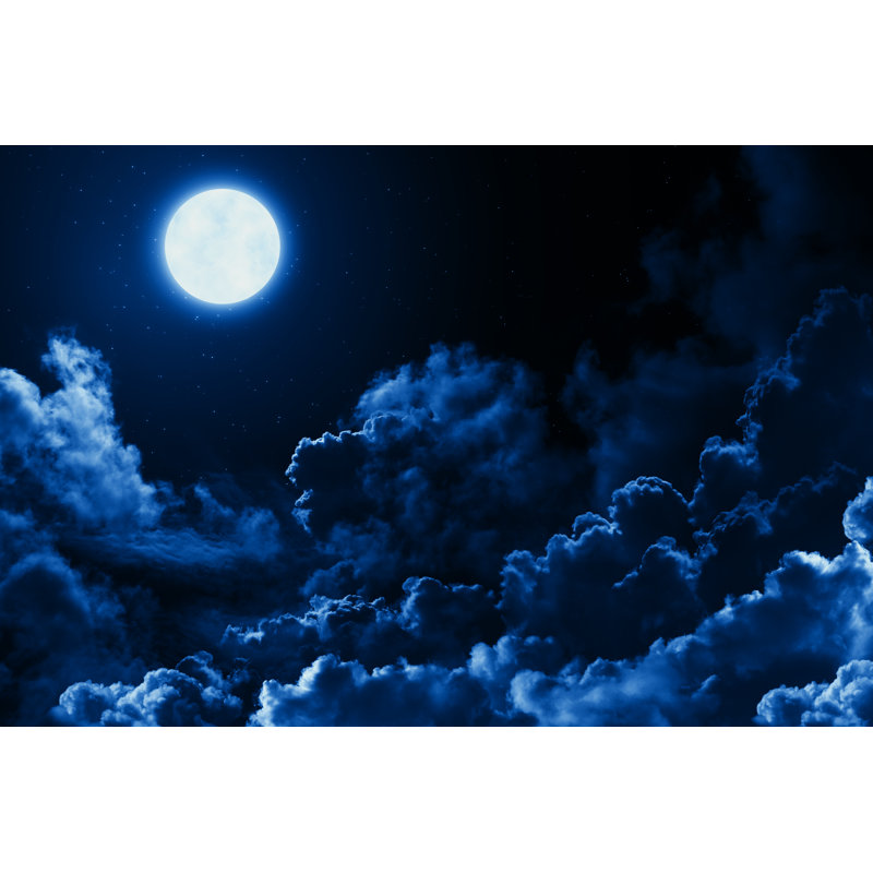 " Bright Full Moon ", 12" H x 18" W
