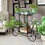 Augst Cart Metal Indoor Outdoor Plant Stand Organiser With 6 Tiers