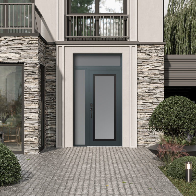 Panneau d'entrée en acier noir anthracite / anthracite avec panneau latéral et porte d'entrée pré-montée Transom, Gelé, Oui