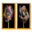 «Blooming Multicolor Fractal Flower», ensemble de 2 photographies sur toile-2083130483-2083130487