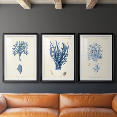 Corail antique en bleu marine IV - reproduction sur mesure encadrée de qualité supérieure - 3 pièces