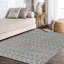Tapis gris / ivoire Kateshia-1407813448